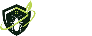Böcek İlaçlama